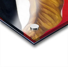 Georgia OKeeffe 30 Acrylic print