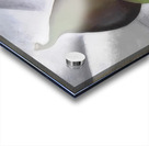 Georgia OKeeffe 32 Acrylic print