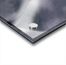 Georgia OKeeffe 42 Acrylic print