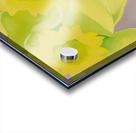 Georgia OKeeffe 45 Acrylic print