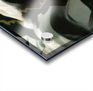 Georgia OKeeffe 49 Acrylic print