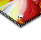 Georgia OKeeffe 60 Acrylic print