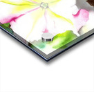 Georgia OKeeffe 73 Acrylic print