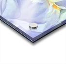 Georgia OKeeffe 74 Acrylic print