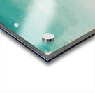 Georgia OKeeffe 1 Acrylic print