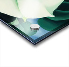 Georgia OKeeffe 9 Acrylic print