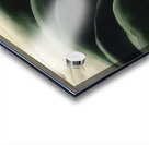 Georgia OKeeffe 16 Acrylic print