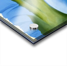 Georgia OKeeffe 29 Acrylic print