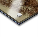 Chestnut Orchard in Winter 1872 Camille Pissarro Acrylic print