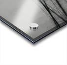 Agnes Martin    45 Acrylic print