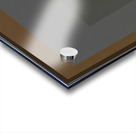 Josef Albers    17 Acrylic print