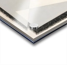 Josef Albers    5 Acrylic print