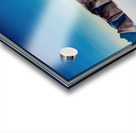 Rockwell Kent  7 Acrylic print