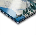 Rockwell Kent  9 Acrylic print