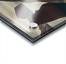 Rockwell Kent  14 Acrylic print