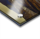 Rockwell Kent  37 Acrylic print