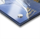 Rockwell Kent  42 Acrylic print