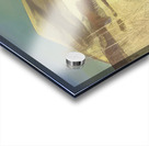 Rockwell Kent  54 Acrylic print