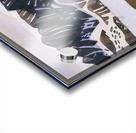 Rockwell Kent  57 Acrylic print