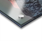 Rockwell Kent  20 Acrylic print