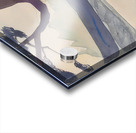 Rockwell Kent  21 Acrylic print