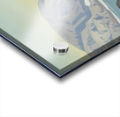 Rockwell Kent  32 Acrylic print