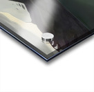 Rockwell Kent  34 Acrylic print