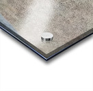 Ben Shahn 37 Acrylic print