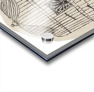 Ben Shahn 38 Acrylic print