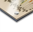 Ben Shahn 57 Acrylic print