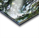 Chaim Soutine 40 Acrylic print