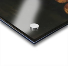 Chaim Soutine 42 Acrylic print