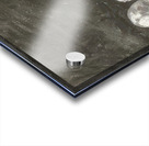 Chaim Soutine 22 Acrylic print