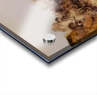 Zao Wo Ki 30 Acrylic print