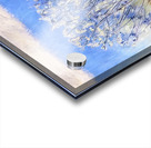 Art by Ferdinand Hodler  1 Acrylic print