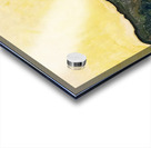 Art by Ferdinand Hodler  17 Acrylic print