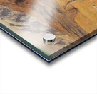 Art by Ferdinand Hodler  18 Acrylic print