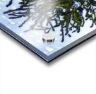 Art by Ferdinand Hodler  21 Acrylic print