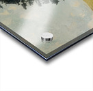 Art by Ferdinand Hodler  24 Acrylic print