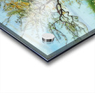 Art by Ferdinand Hodler  11 Acrylic print