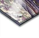 Art by Ferdinand Hodler  12 Acrylic print