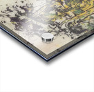 Art by Ferdinand Hodler  13 Acrylic print