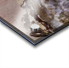 Art by Ferdinand Hodler  18 Acrylic print