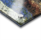 Art by Ferdinand Hodler  19 Acrylic print