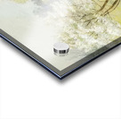 Robert Vonnoh 1 Acrylic print