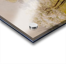 Robert Vonnoh 24 Acrylic print