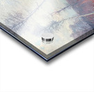 Robert Vonnoh 26 Acrylic print