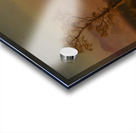 Albert Bierstadt 5 Acrylic print