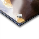 Albert Bierstadt 18 Acrylic print