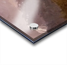 Albert Bierstadt 19 Acrylic print